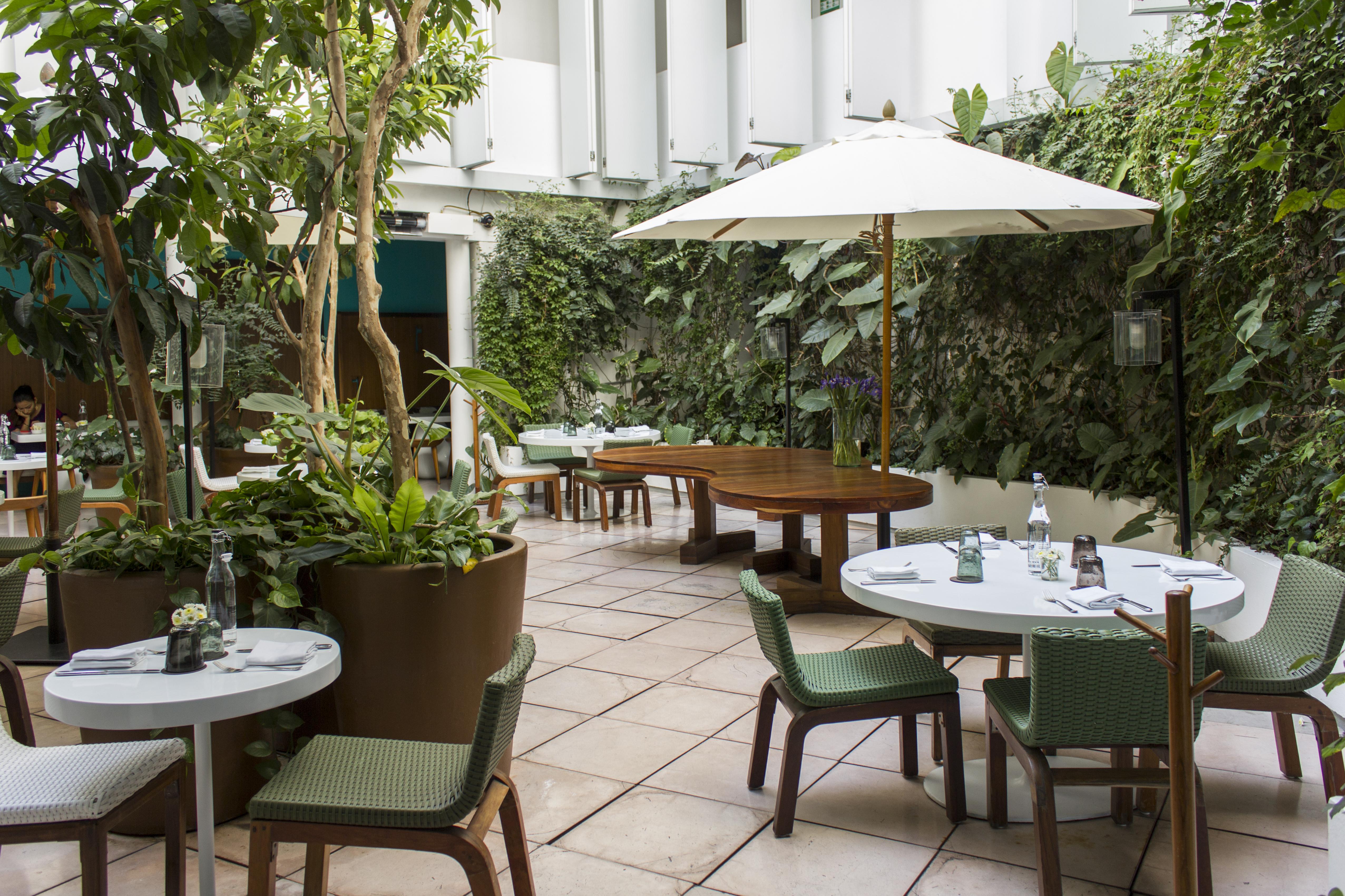 Condesa Df, Mexico City, A Member Of Design Hotels Zewnętrze zdjęcie